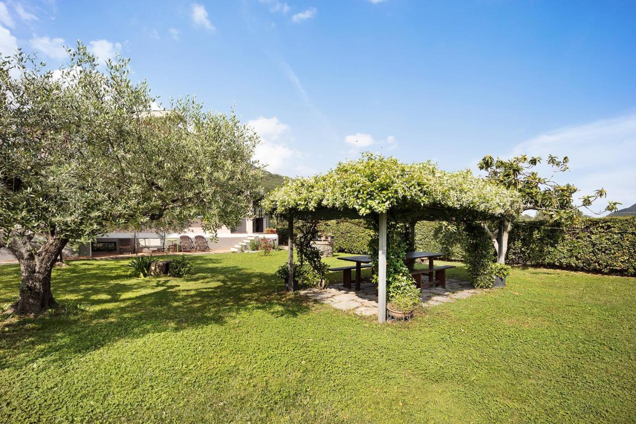 Casanova Lerrone Mansarda Albero Verde Con Piscina מראה חיצוני תמונה