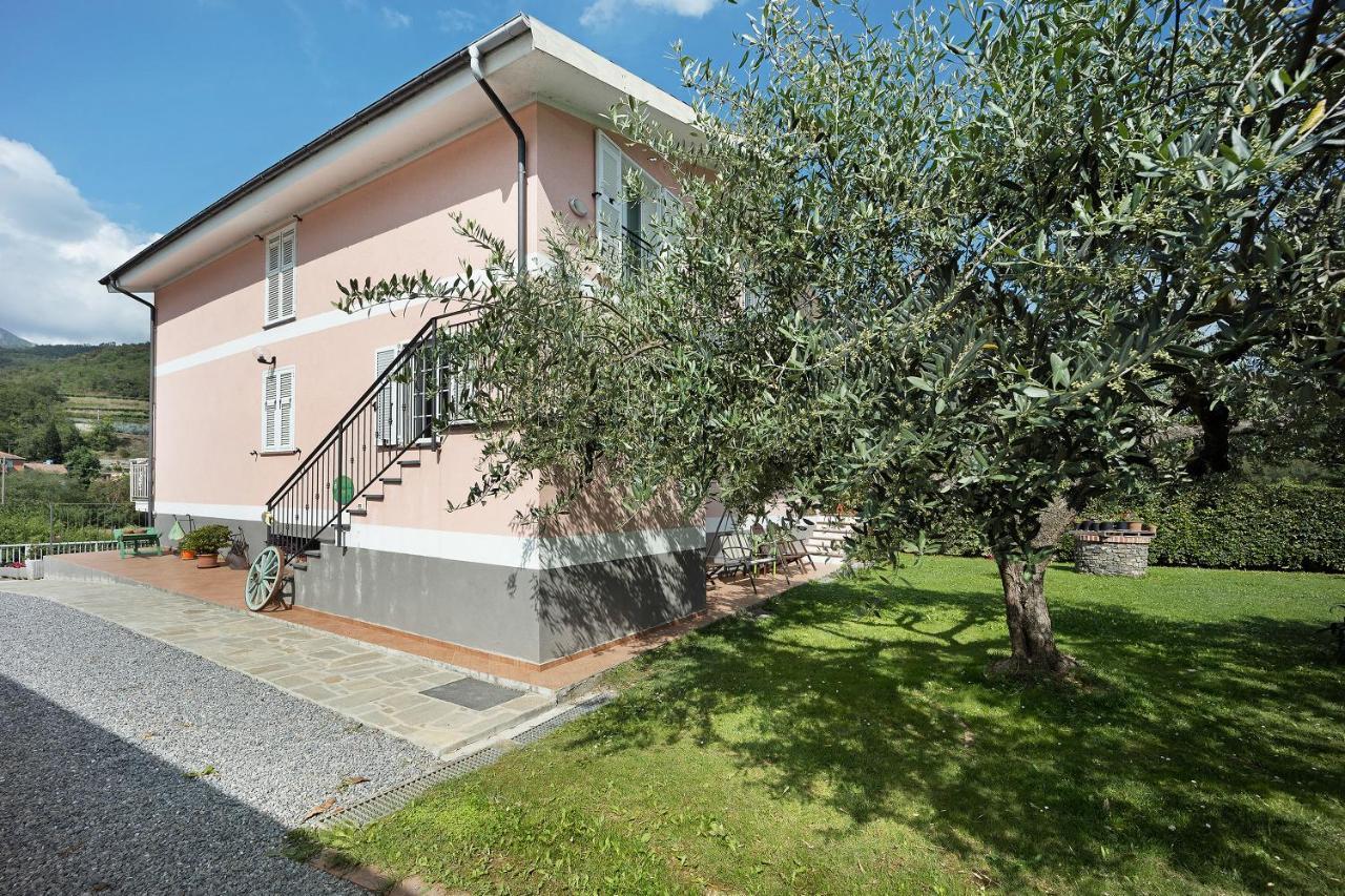 Casanova Lerrone Mansarda Albero Verde Con Piscina מראה חיצוני תמונה